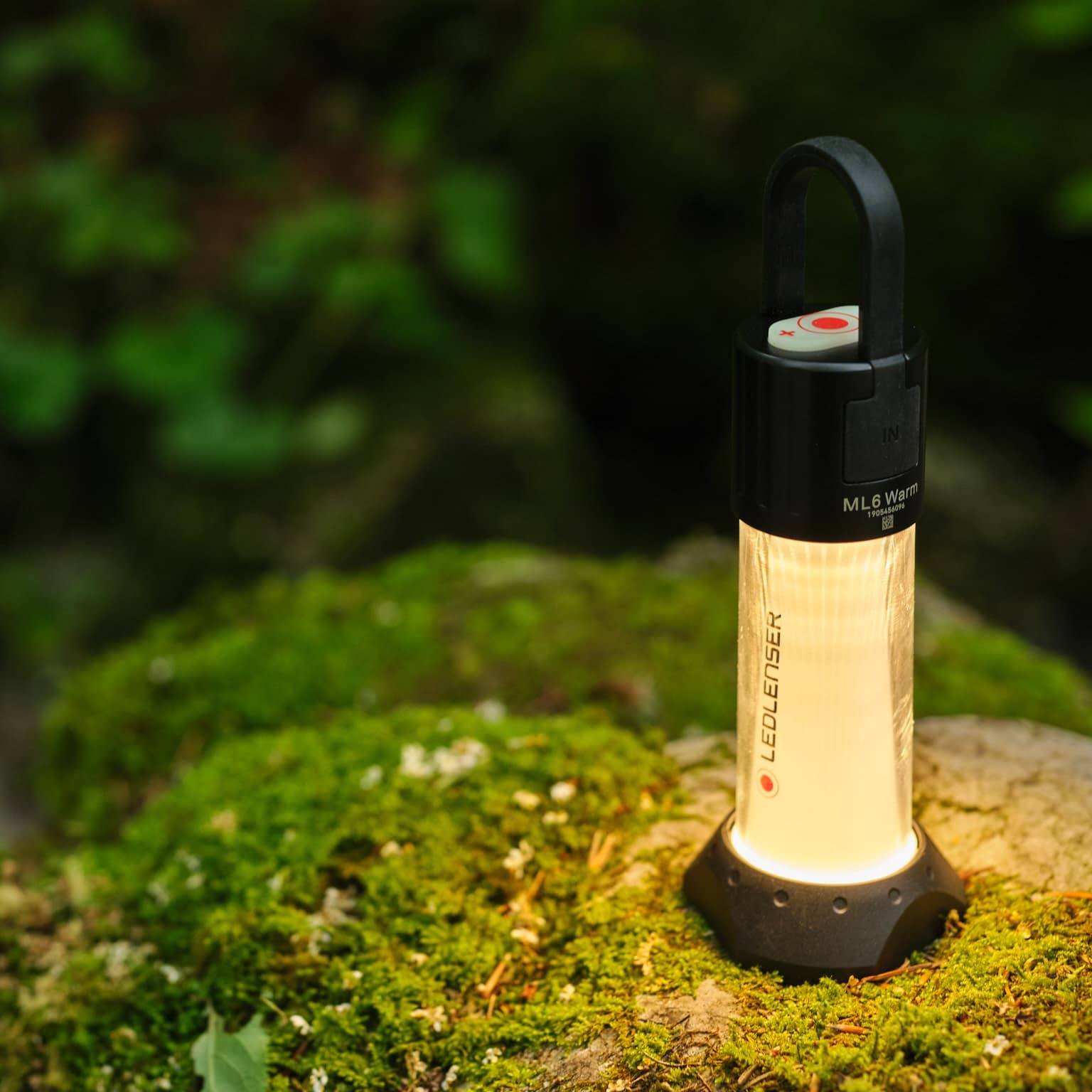 ML6 Warm Light — image 7 of 7