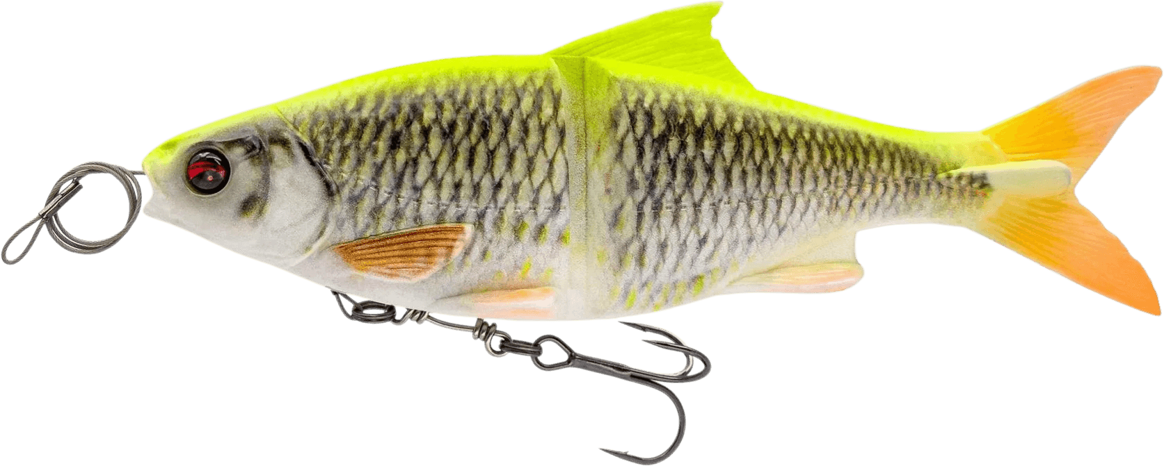 Lemon Roach