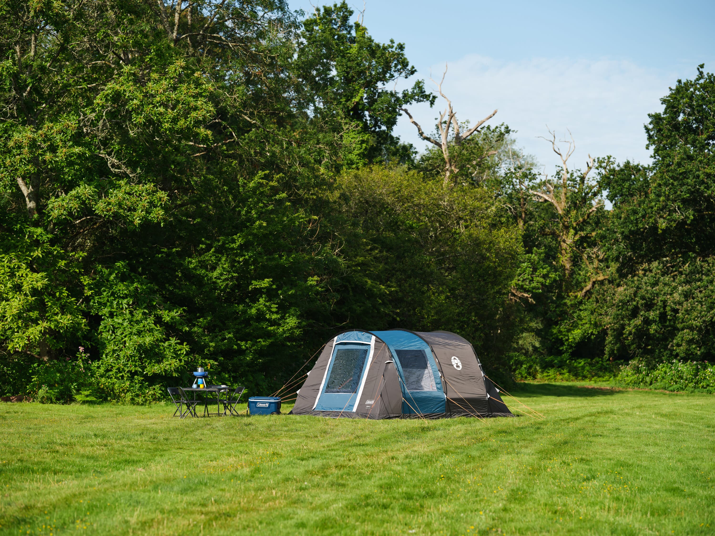 Cook 4 — image 15 of 16