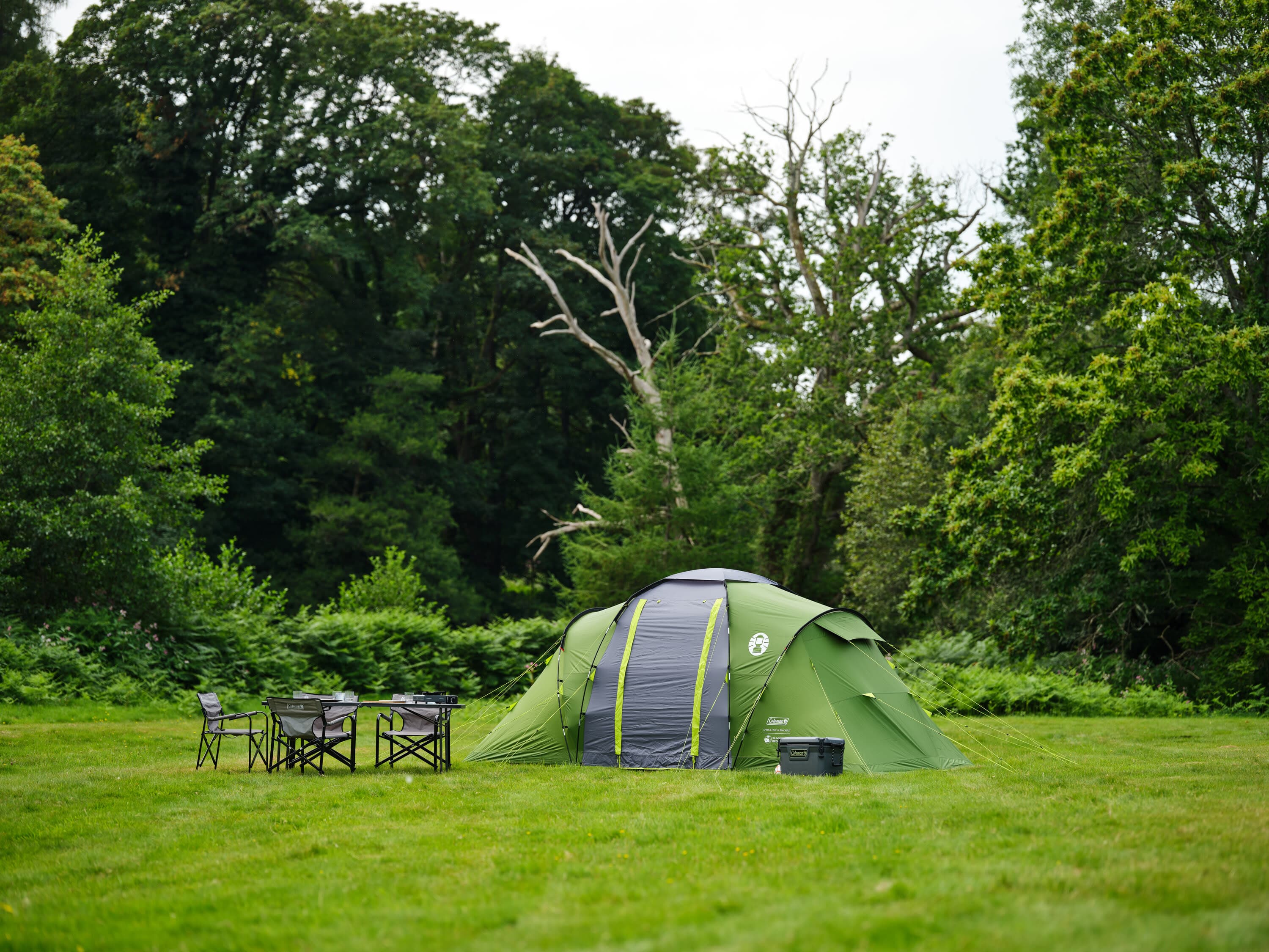 Spruce Falls 4 Blackout — image 11 of 14