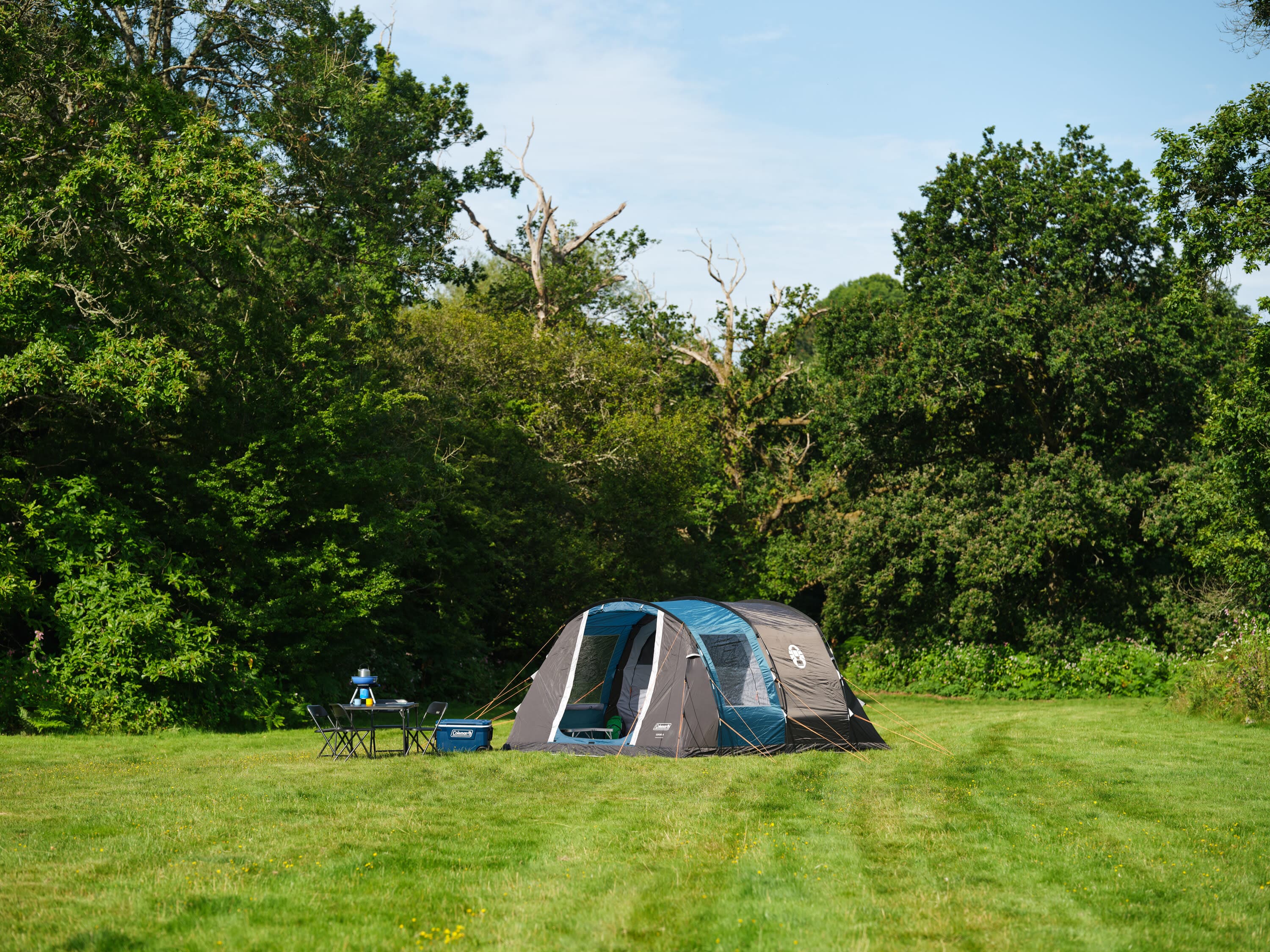 Cook 4 — image 11 of 16