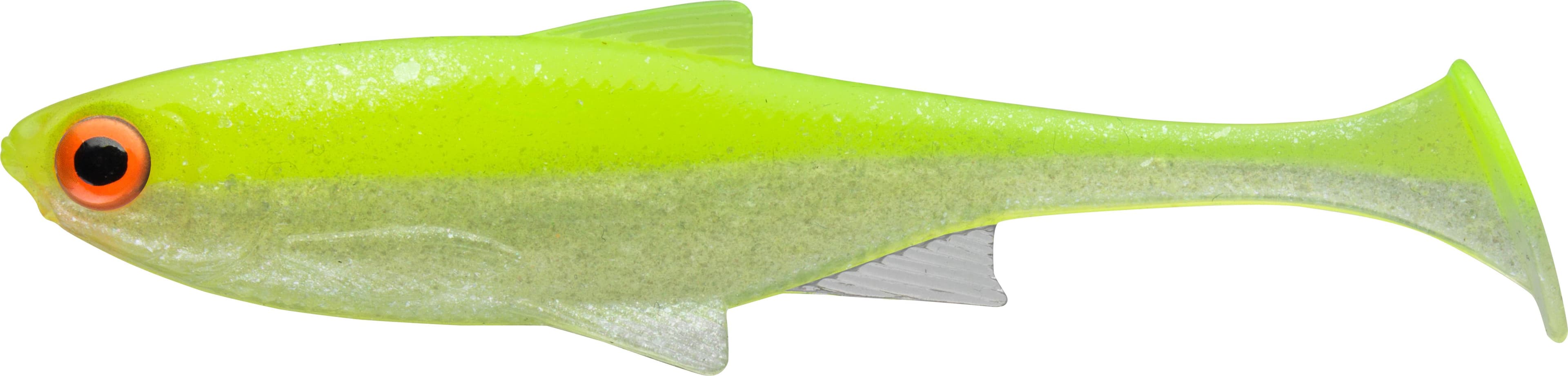 LIME ROACH