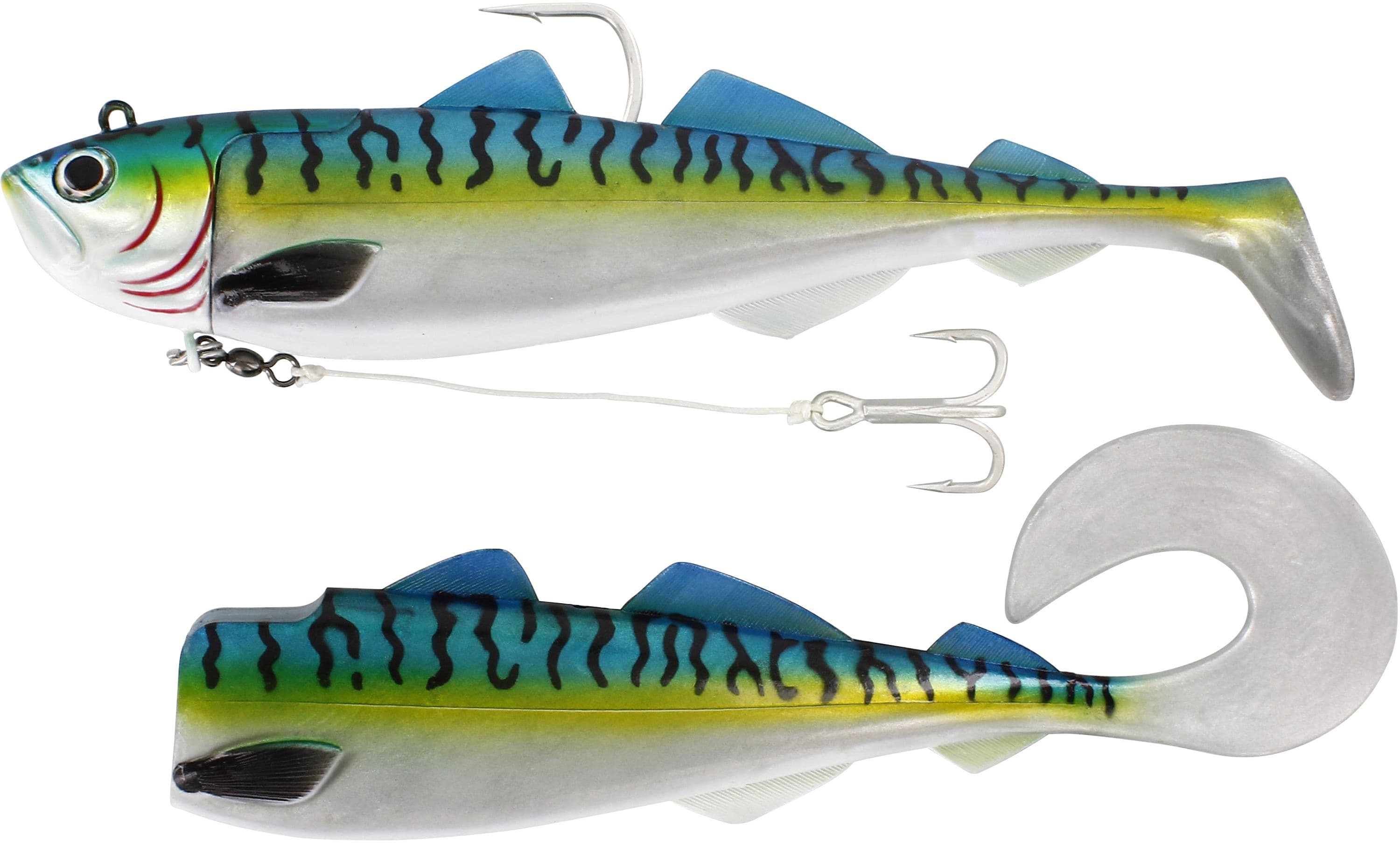 Mackerel