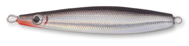 Canned Sardine