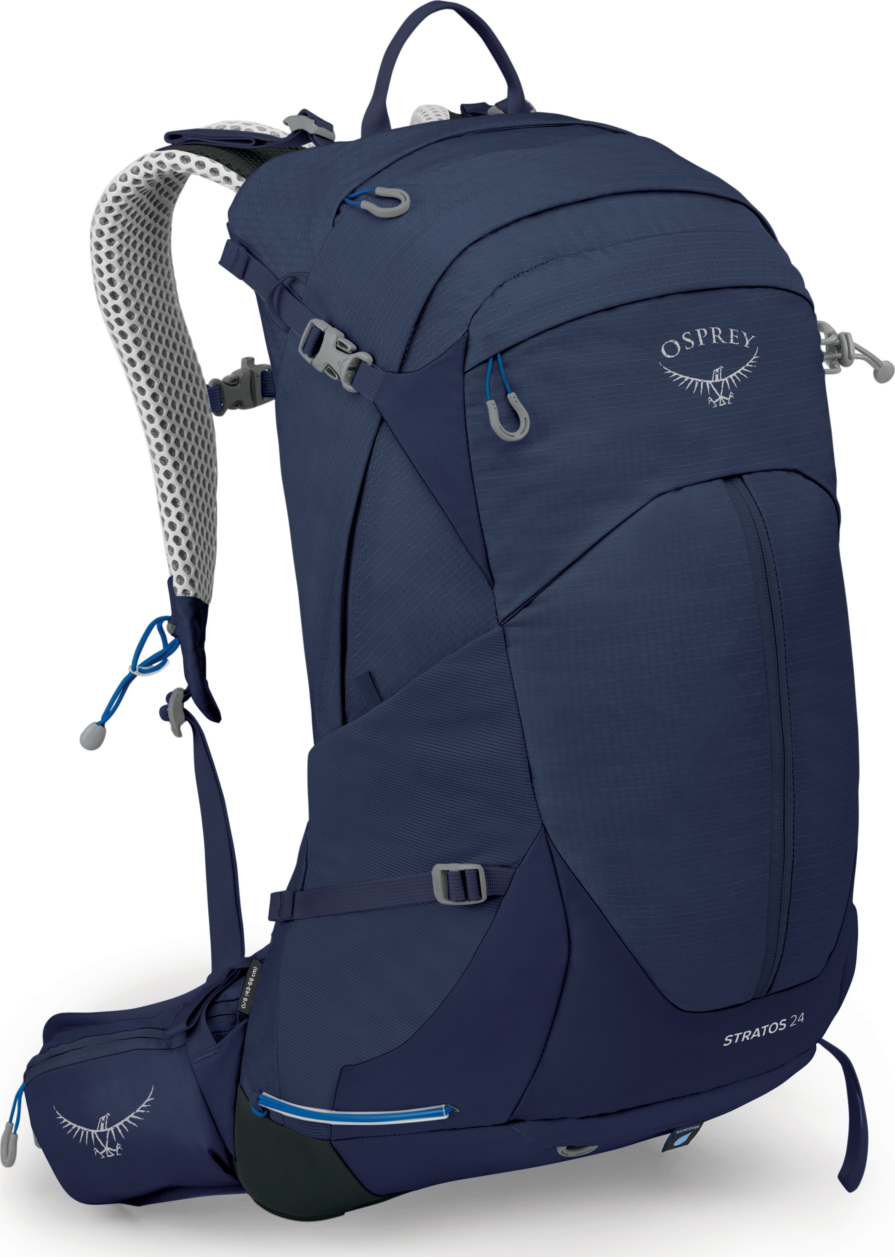 Cetacean Blue