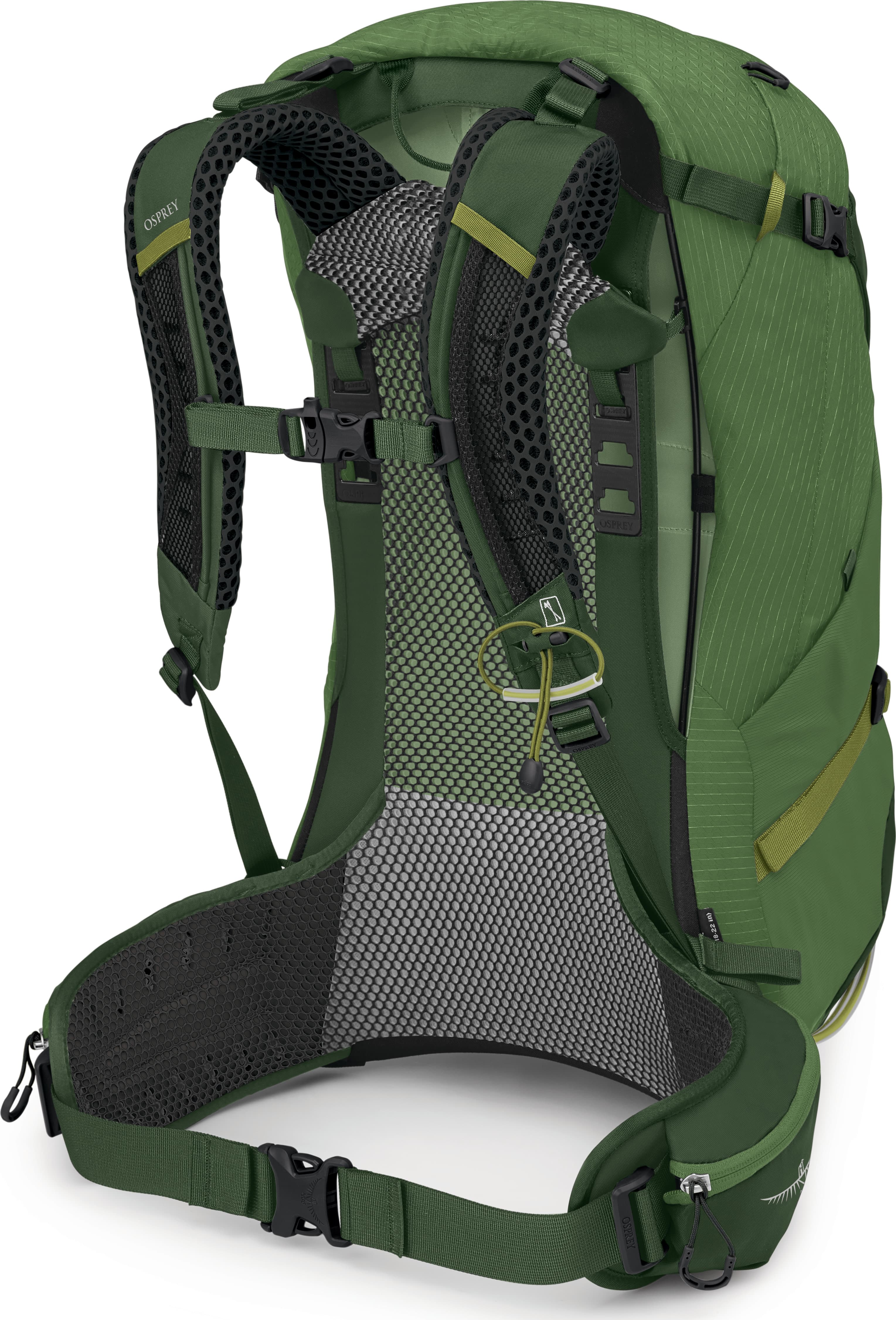 Osprey-1857-Stratos 34 — image 2 of 4