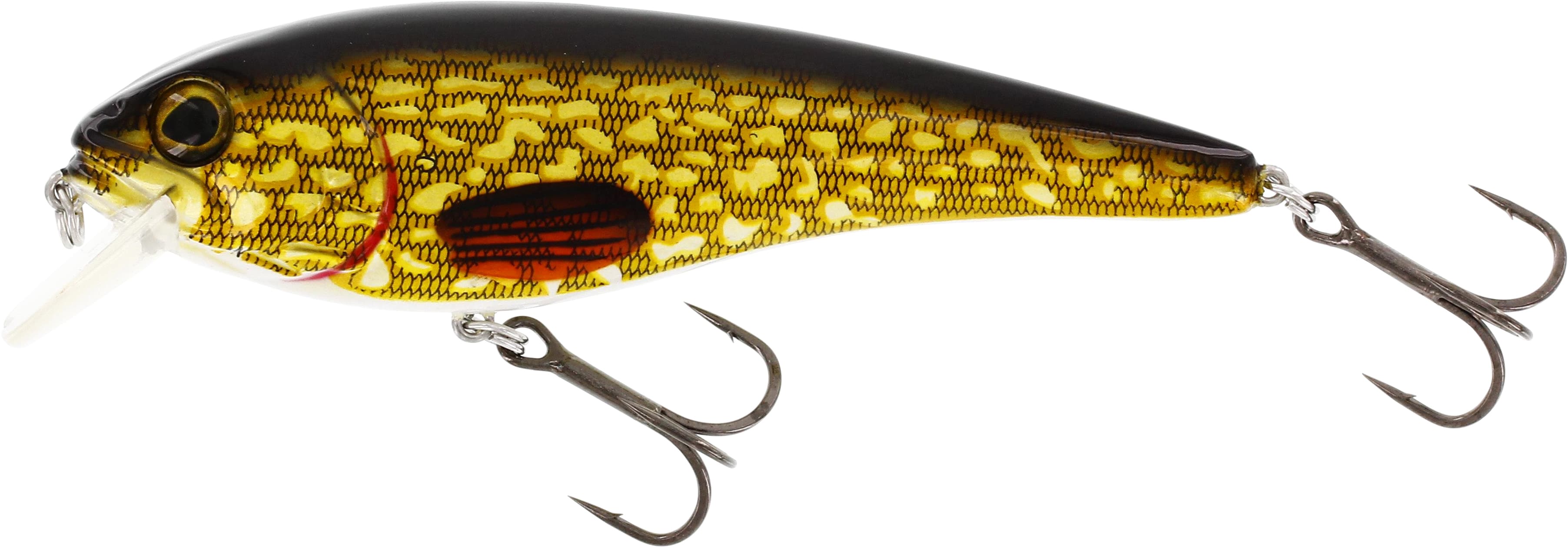 Natural Pike