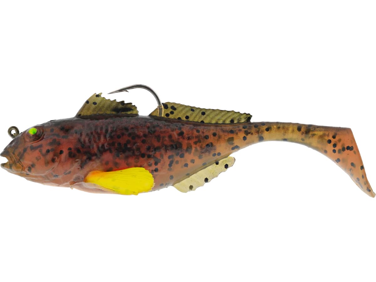 Gunnar The Goby R2f — image 1 of 1