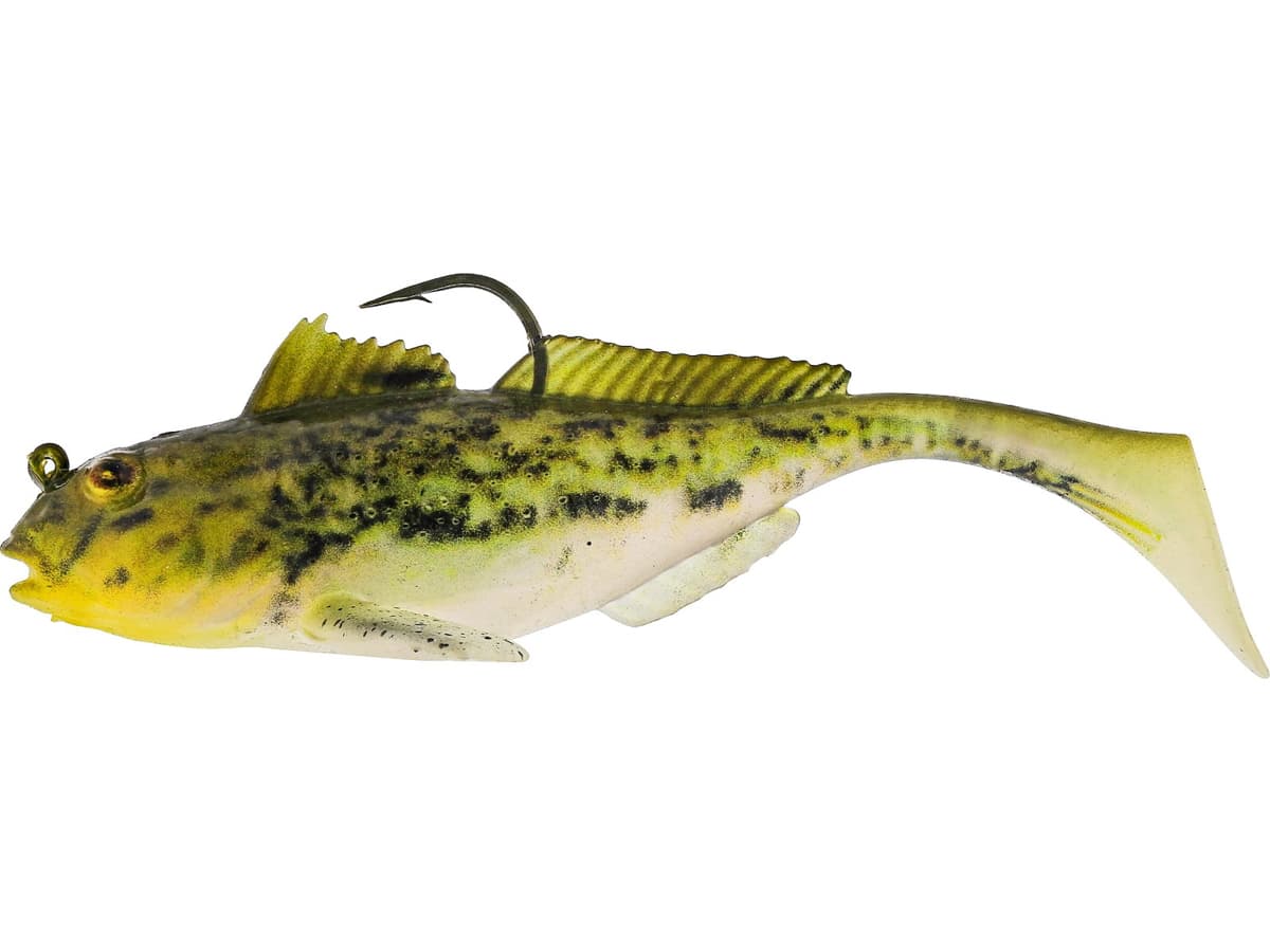 HEADLIGHT GOBY