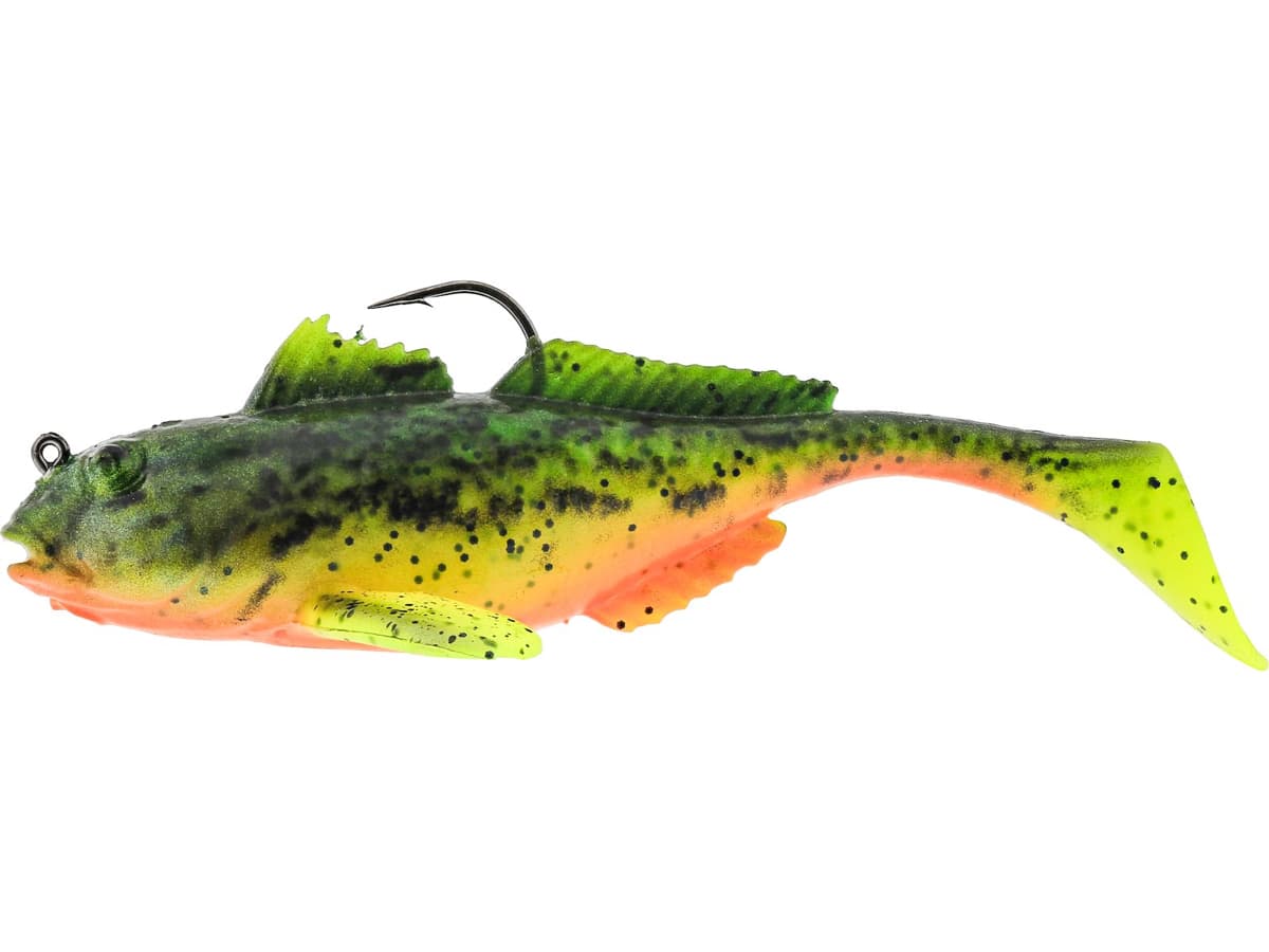 FIRE GOBY
