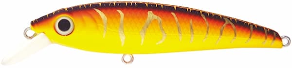 Gold Tiger