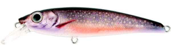 Arctic Char
