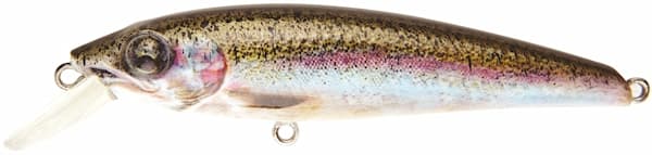 Rainbow Trout