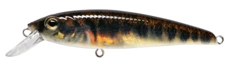 Pure Minnow