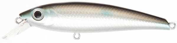 Brisling