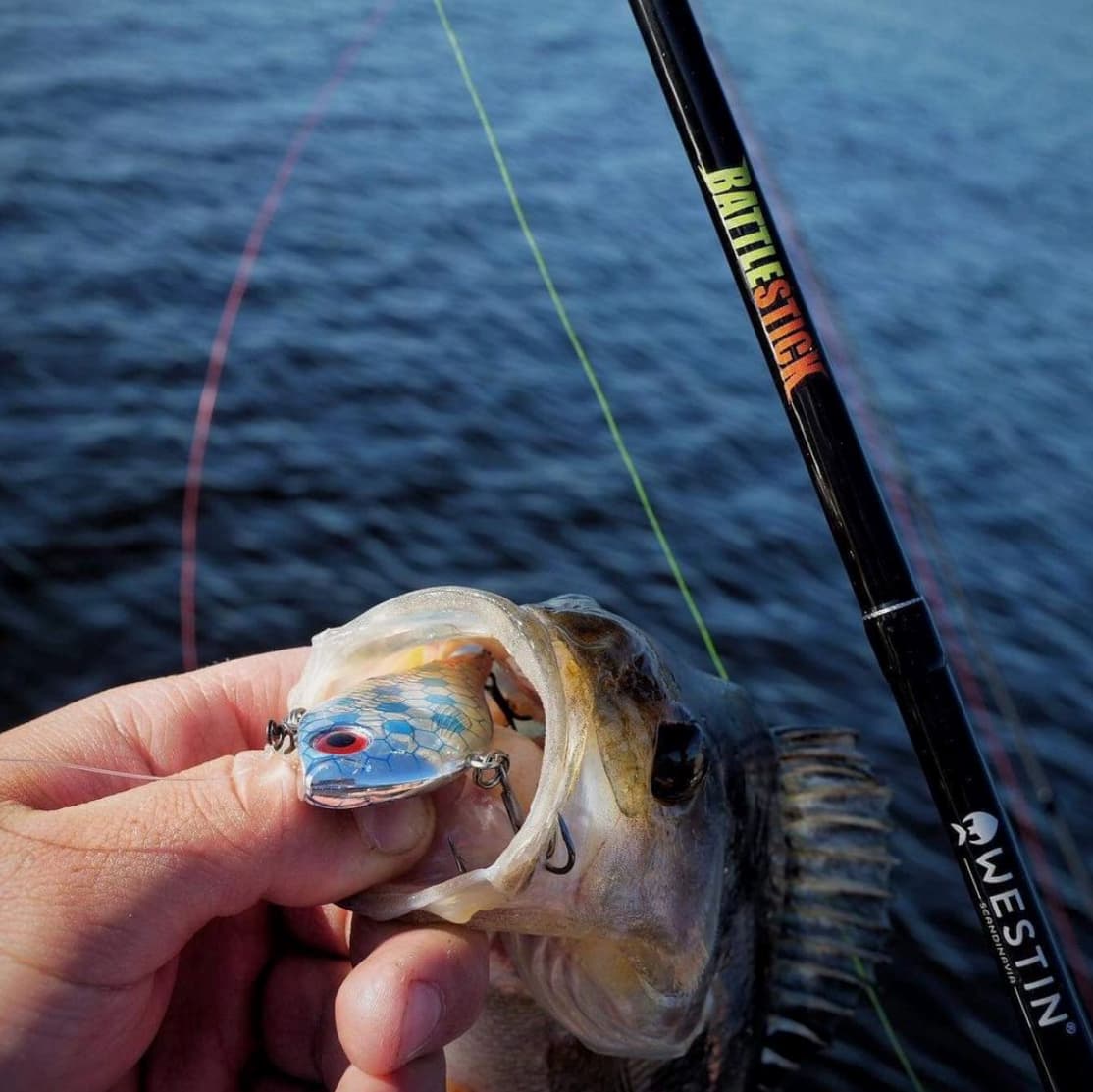 Rapala Rippin Rap Skitt Fiske Icb 7cm Egenutviklet Special Edition Fargedesign — image 3 of 3