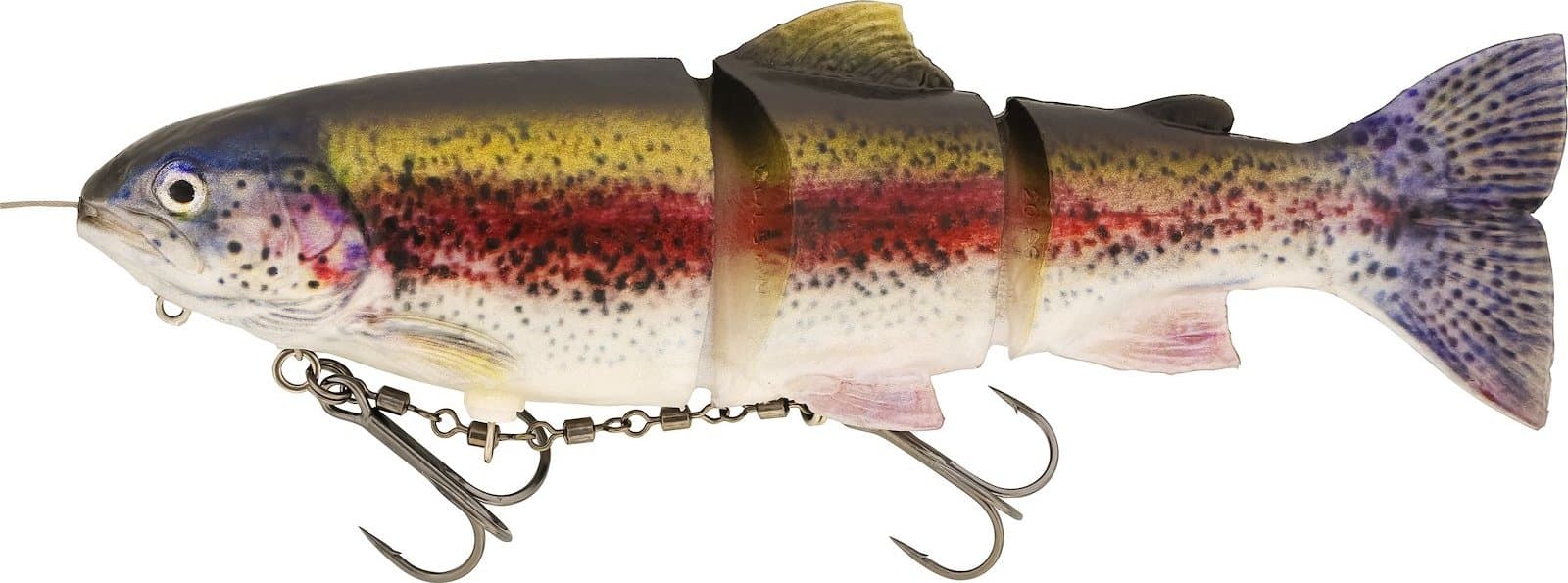 Real Rainbow Trout