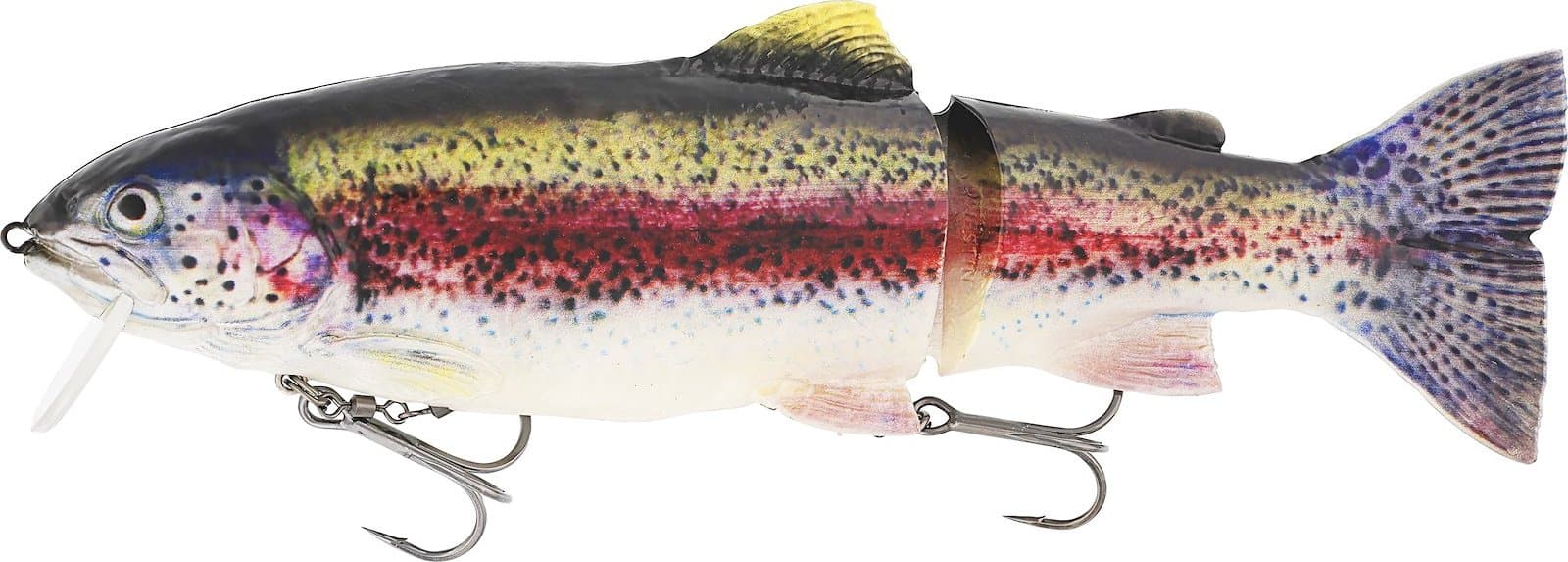 Real Rainbow Trout