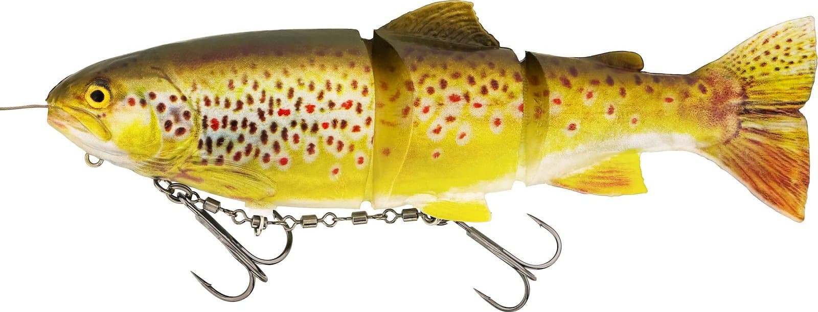 Real Trout