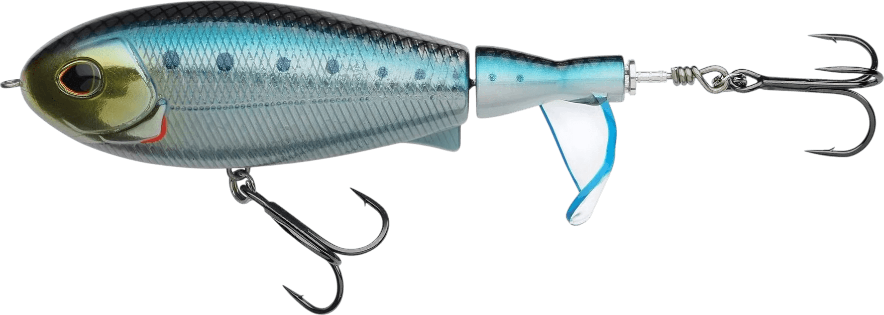 Sardine