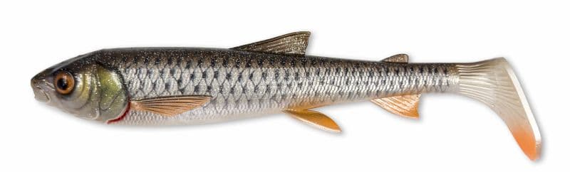 Roach