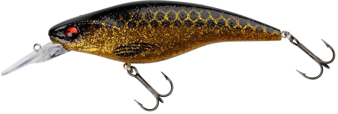 Spotted Bullhead