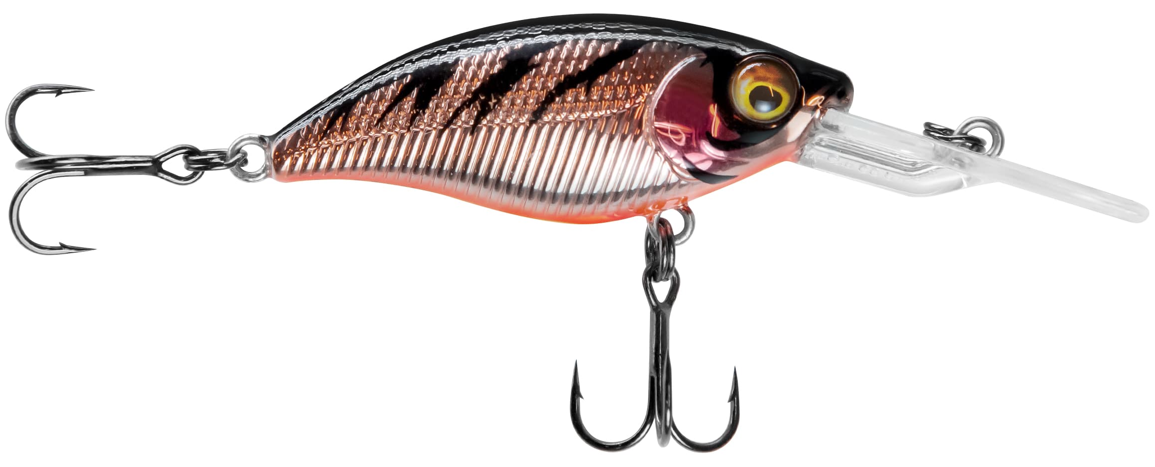 Westin Buzzbite Outfishing Edition Cd — image 1 of 3