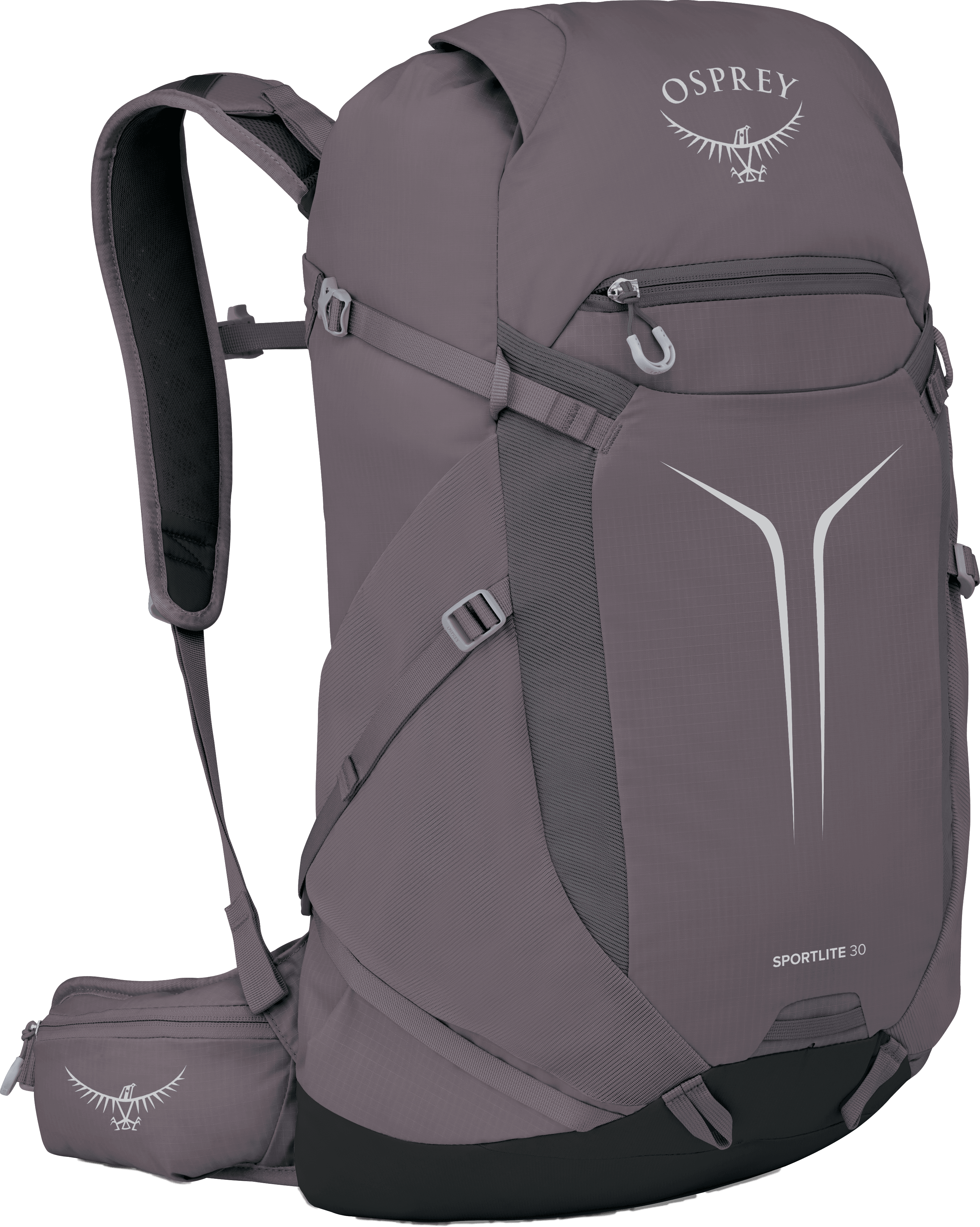 Graphite Purple