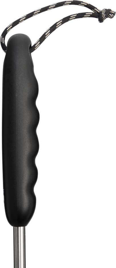 The Classic Cleaning Brush — image 4 of 4