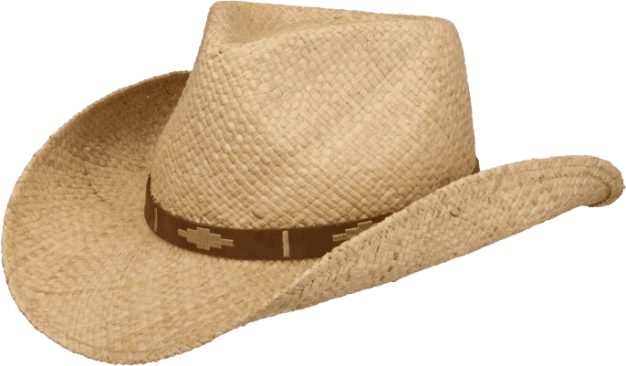 Stetson Western Raffia Cattle Ranches — image 1 of 1