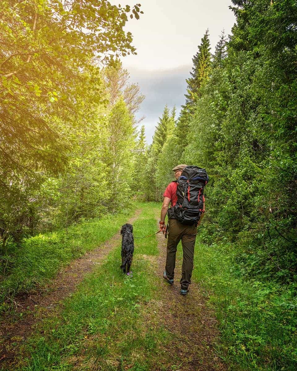 Montana Hiking Pack 65L — image 4 of 6