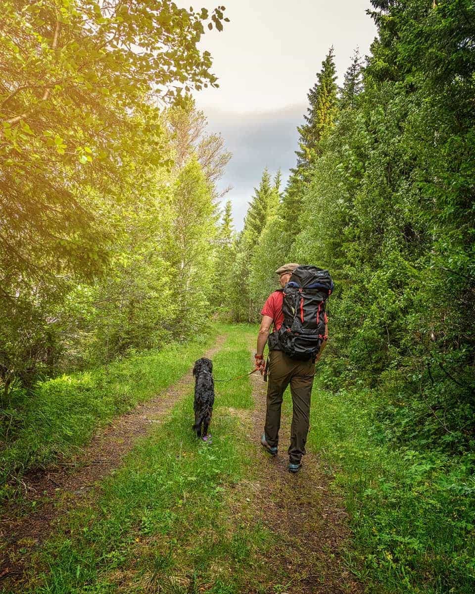 Sydvang-936182-Montana Hiking Pack 85L — image 2 of 10