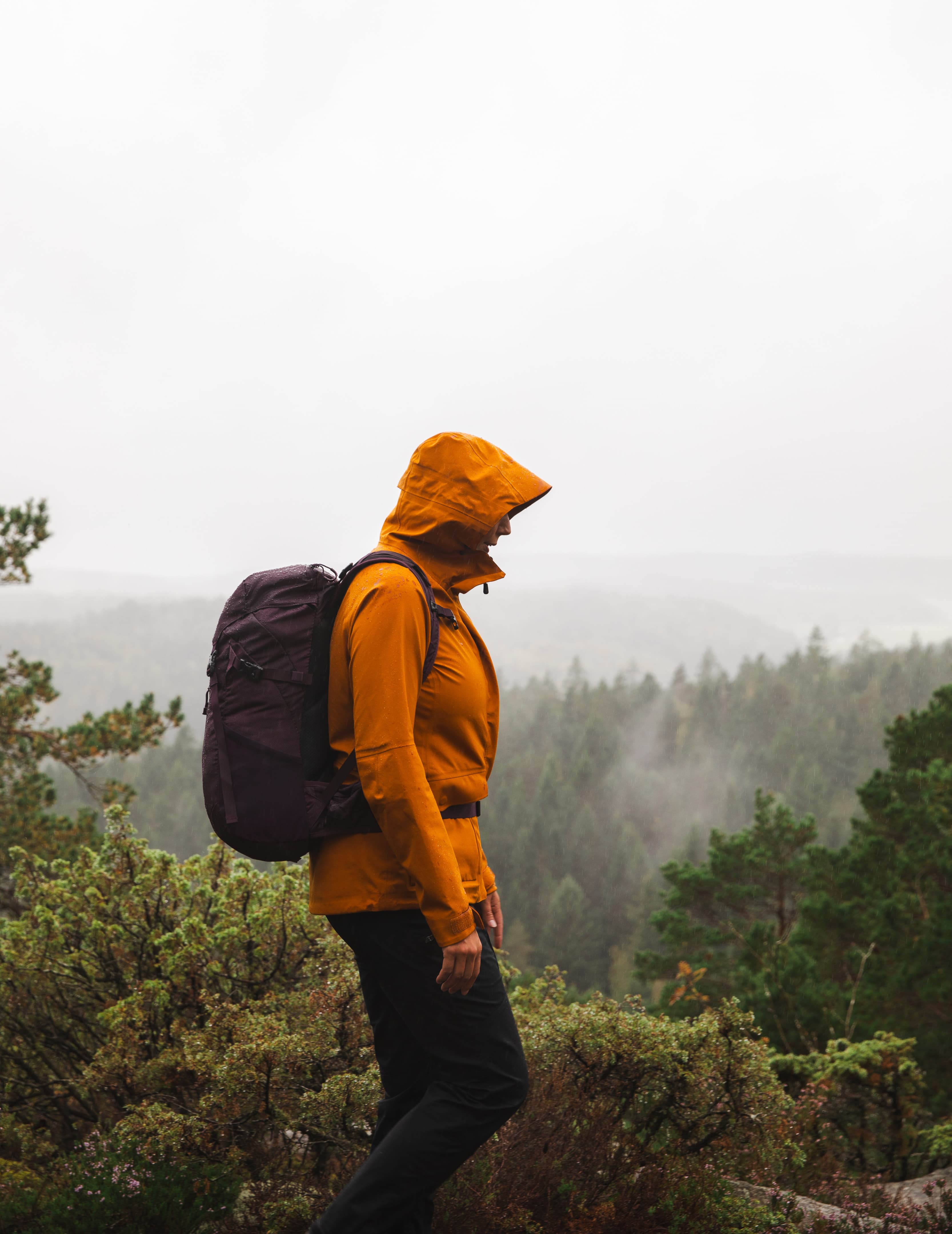 Urberg-PL11667- — image 12 of 13