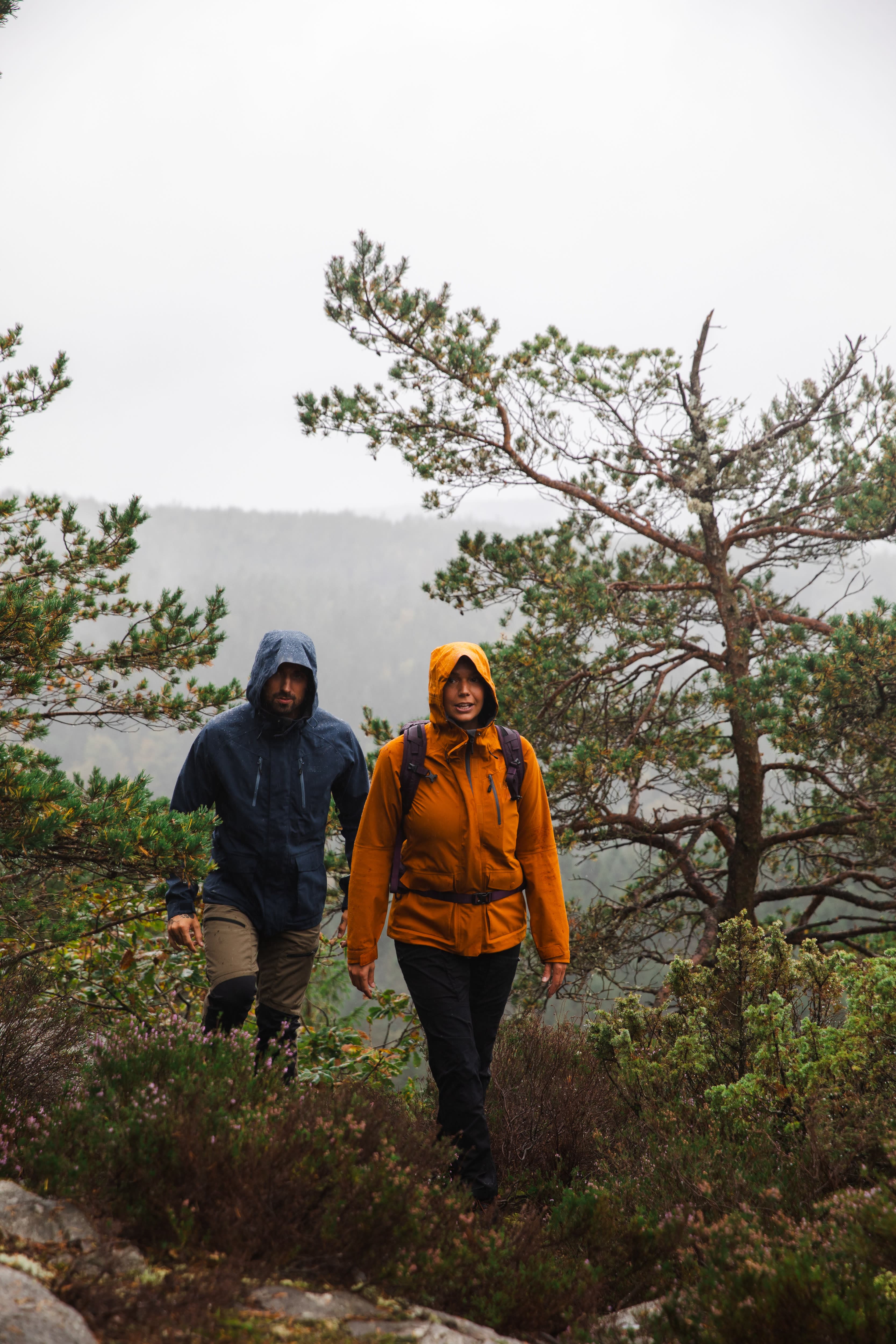 Urberg-PL11667- — image 10 of 13