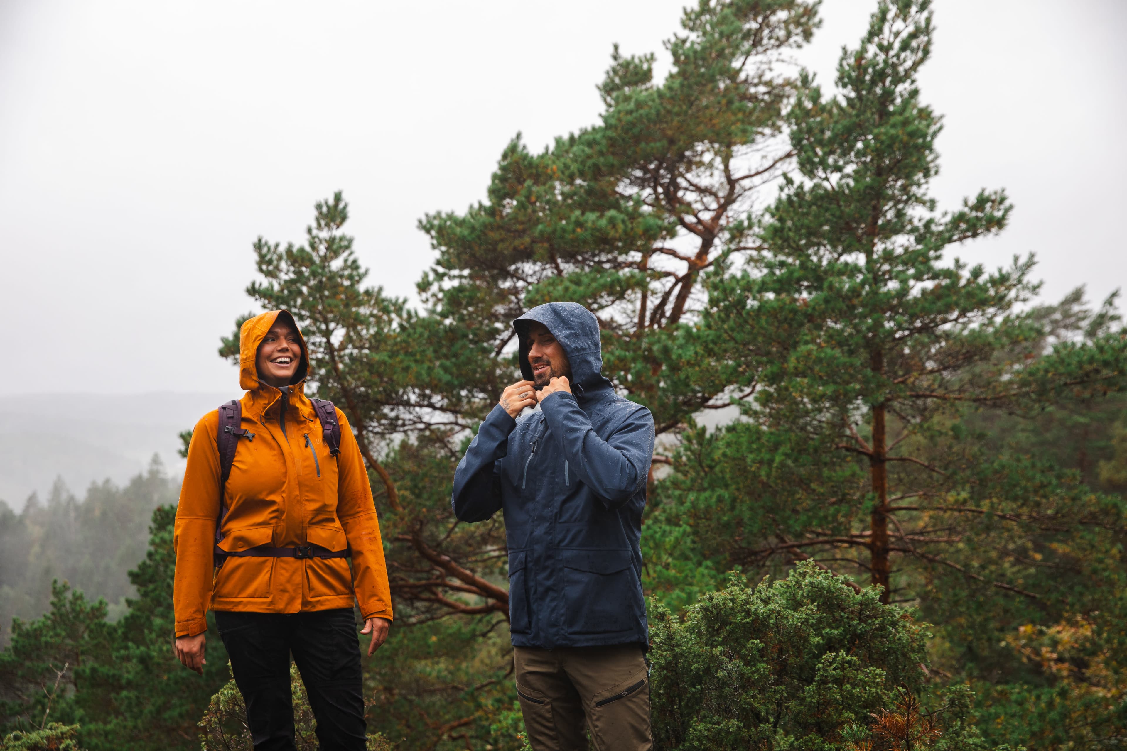 Urberg-PL11667- — image 11 of 13