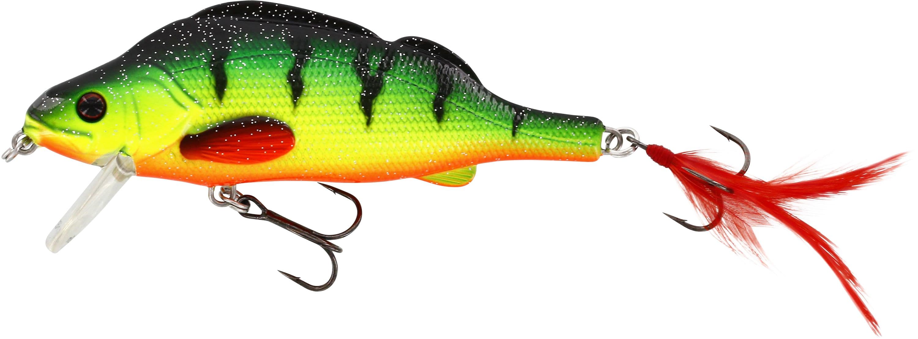 Fancy Firetiger